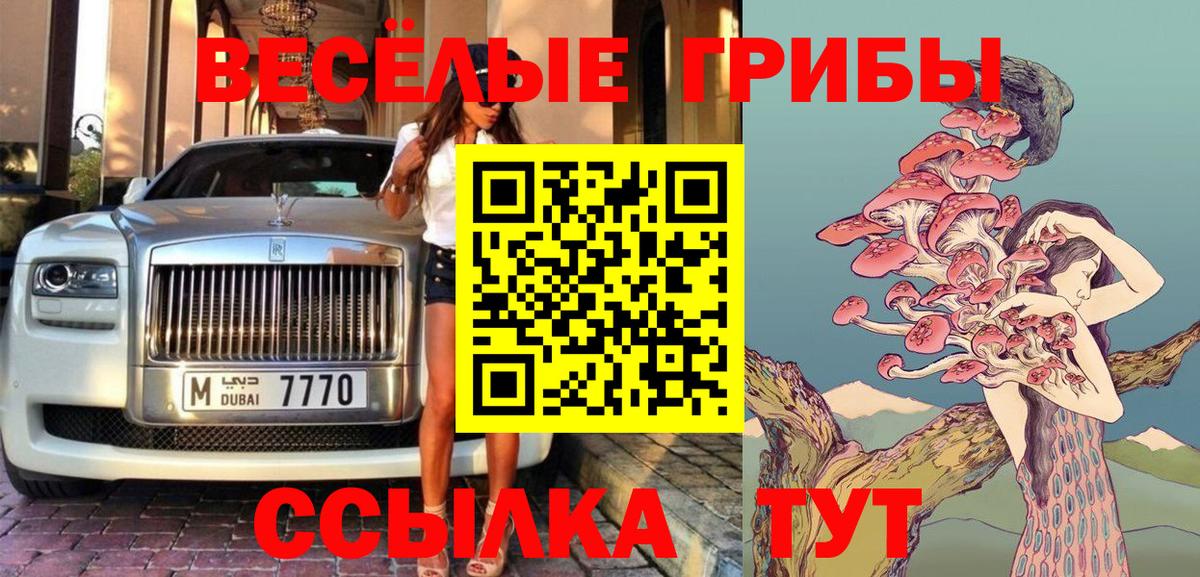 Псилоцибиновые грибы Psilocybe  Вход с VPN  Краснодар 